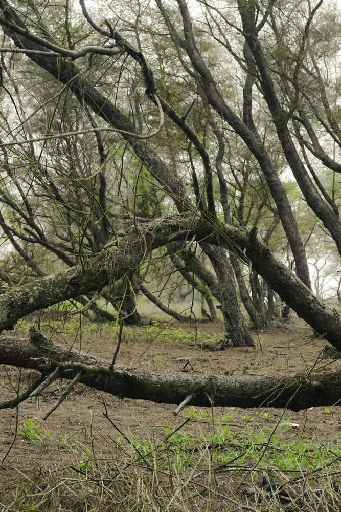 Woman in straw hat smiles, holding wine glass near a lake.