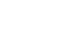 PSI Home Health Logo