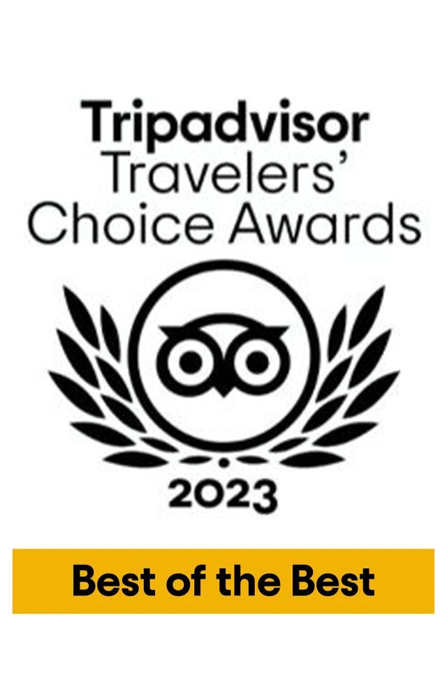 A black and white logo for travelers choice tripadvisor.