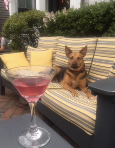 A dog laying on a couch next to a martini glass