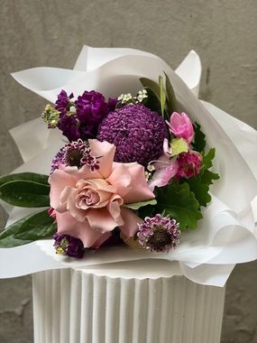 Plum Posy 