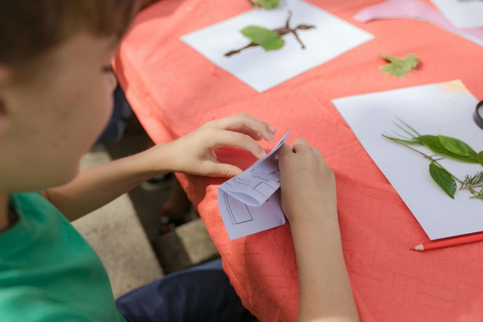 Child sorting small paper slips at a red table with leaves and plants on white sheets nearby