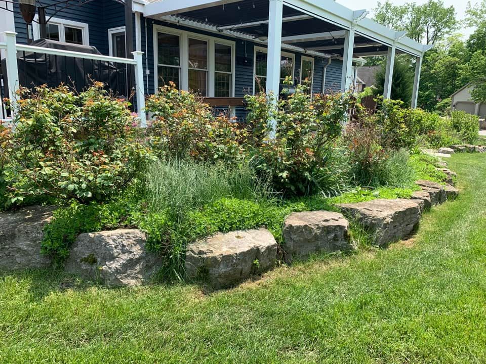 A rock-bordered garden bed with green plants and rose bushes in front of a blue house with a white pergola.