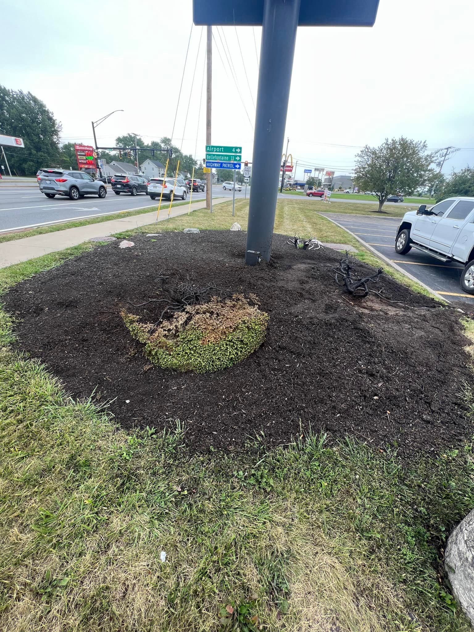 A bed of dark mulch surrounding a signpost, with patchy green and brown plants, next to a road with traffic.