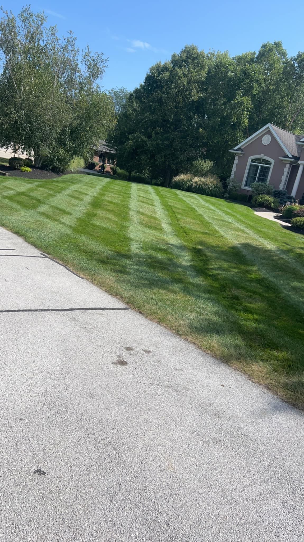 Lawn with stripes; house and trees in the background. Sunny day with blue sky.