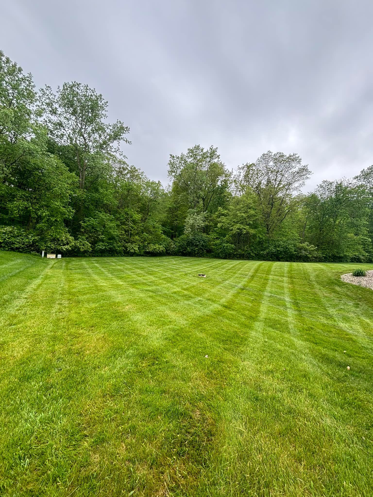 Lawn with freshly cut grass and tire tracks, trees in the background, under a cloudy sky.