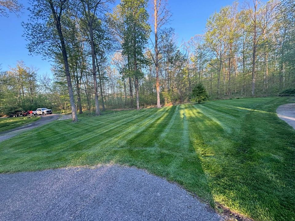 Lawn mowed in striped pattern, with trees and a gravel driveway in the background. Sunlight casts shadows on the grass.