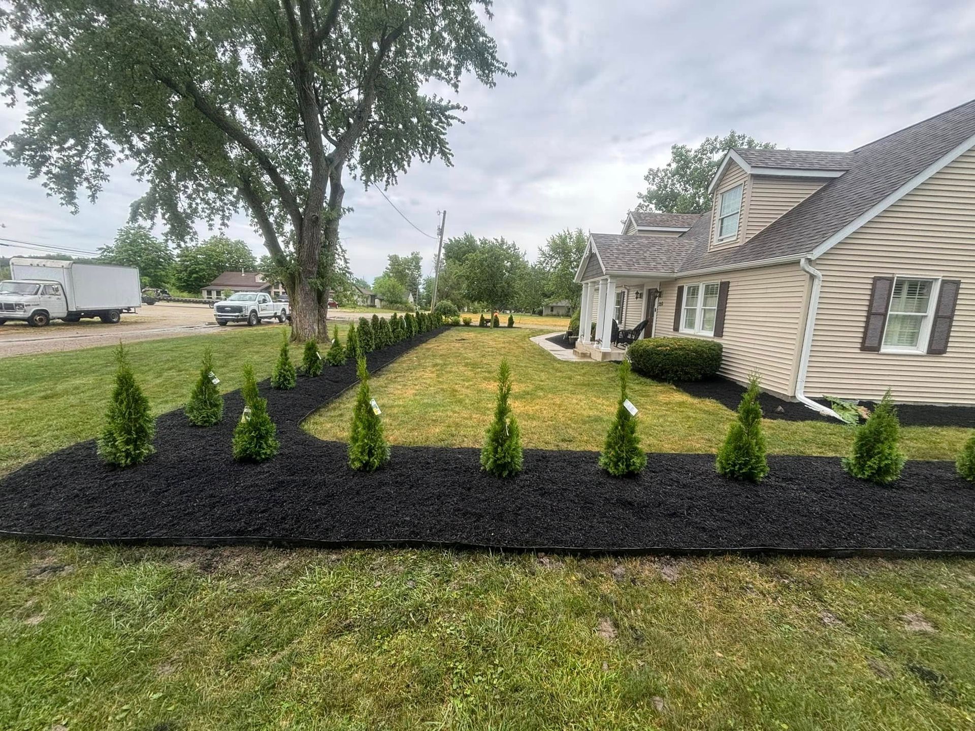 Black mulch bed with green conical trees lining the lawn, a house, and cloudy sky in the background.
