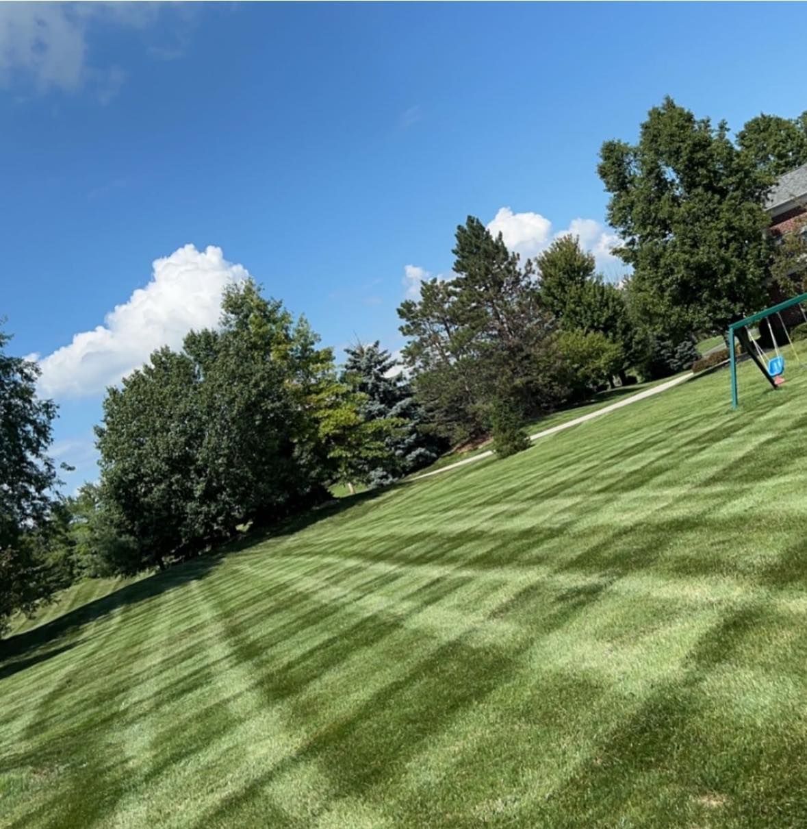 Lawn with freshly cut striped pattern on a sunny day. Green grass, blue sky, and trees.