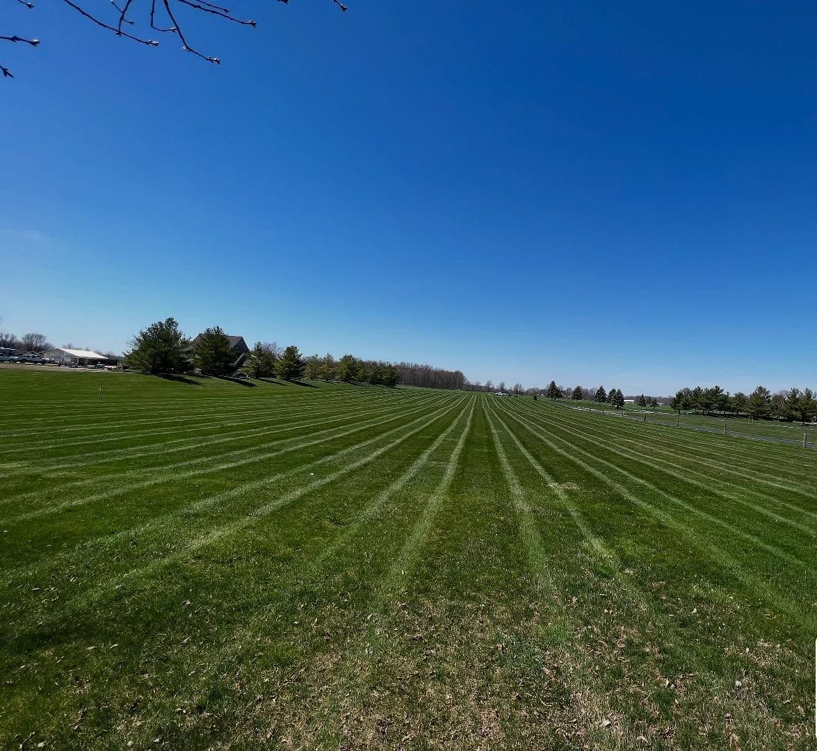 Lush green lawn mowed in straight lines under a clear blue sky, trees in the distance.
