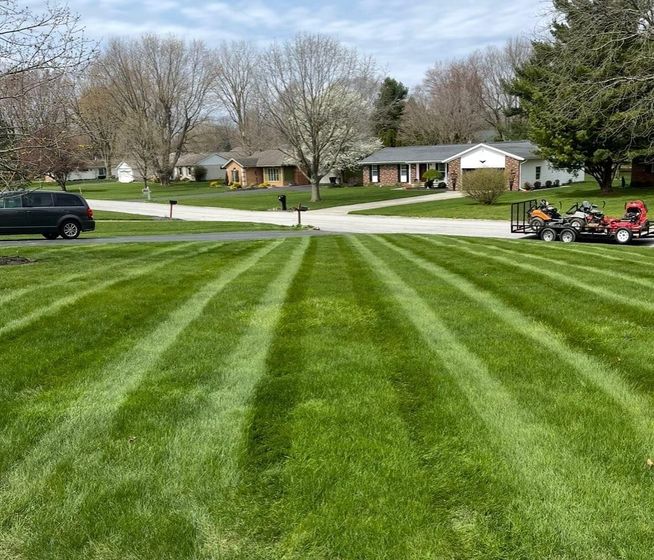 Lawn mowed with stripes in front of houses on a sunny day. A black car and lawn care equipment are visible.