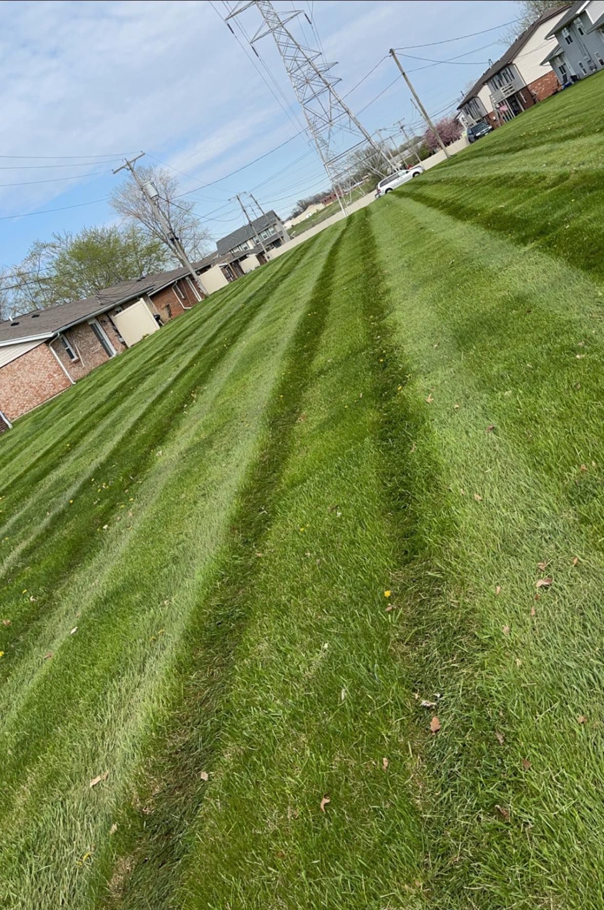 Lawn with alternating light and dark green stripes, cut by a lawnmower in a residential area.