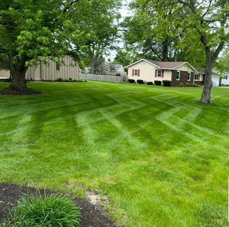 Lawn with zigzag mowing pattern in a front yard. Trees and houses in the background.