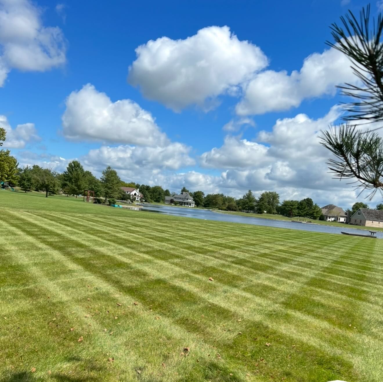 Lawn with alternating stripes, blue sky, fluffy clouds, and a lake with houses.