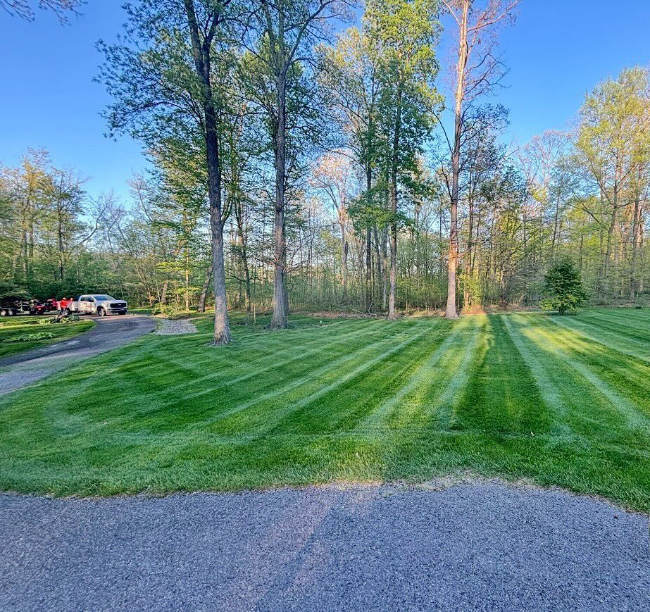 Freshly mowed green lawn with stripes, trees, and a gravel driveway; sunny, outdoor setting.