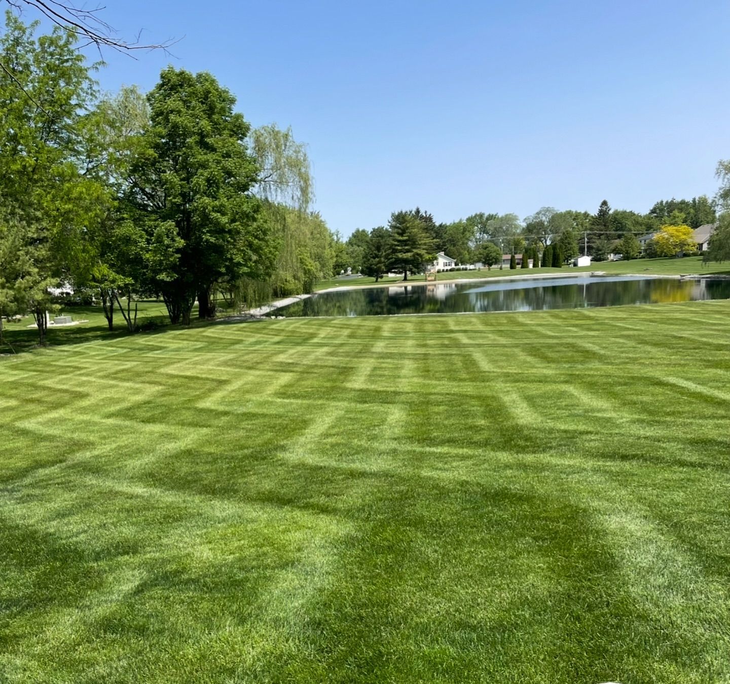 Green lawn with a patterned cut design, trees, and a pond under a blue sky.