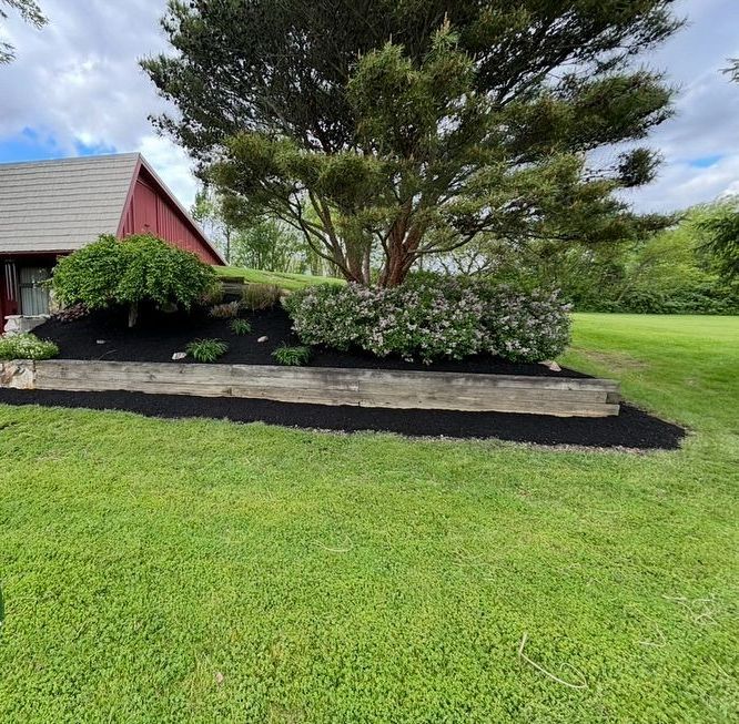 Lush green lawn with a raised garden bed, a large tree, and a red building.