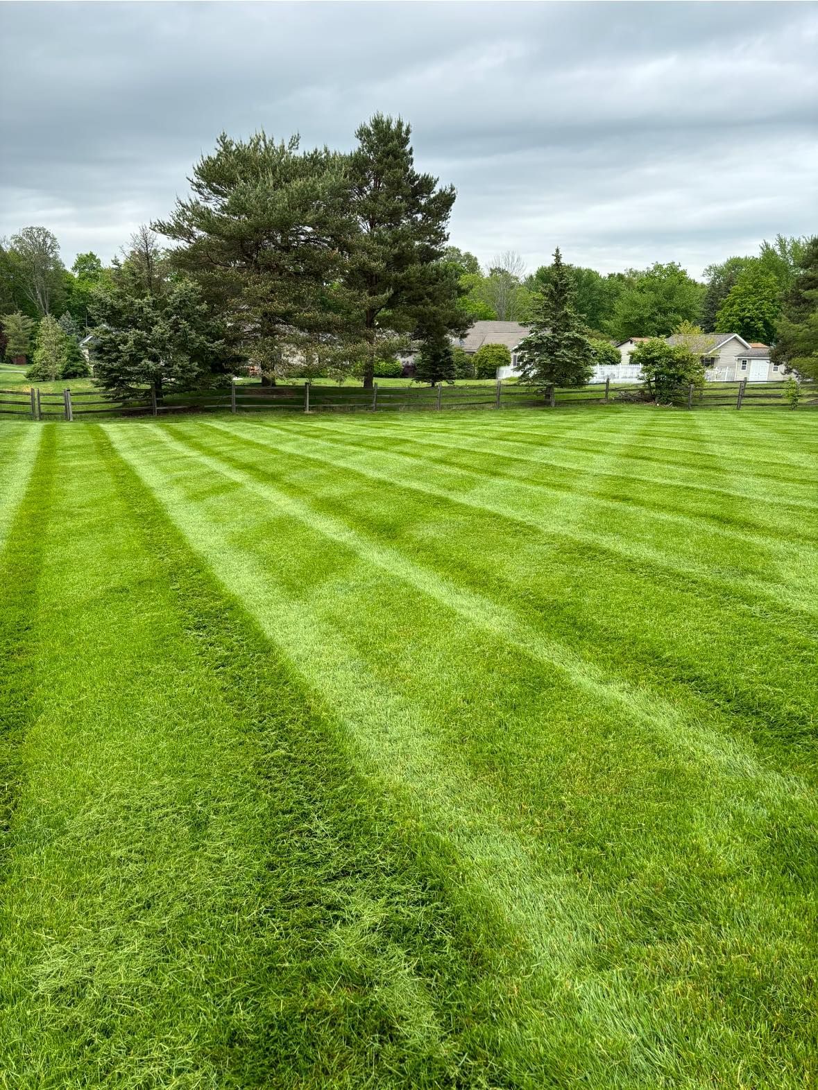 Lush green lawn with striped mowing pattern, trees, and a cloudy sky in a residential setting.