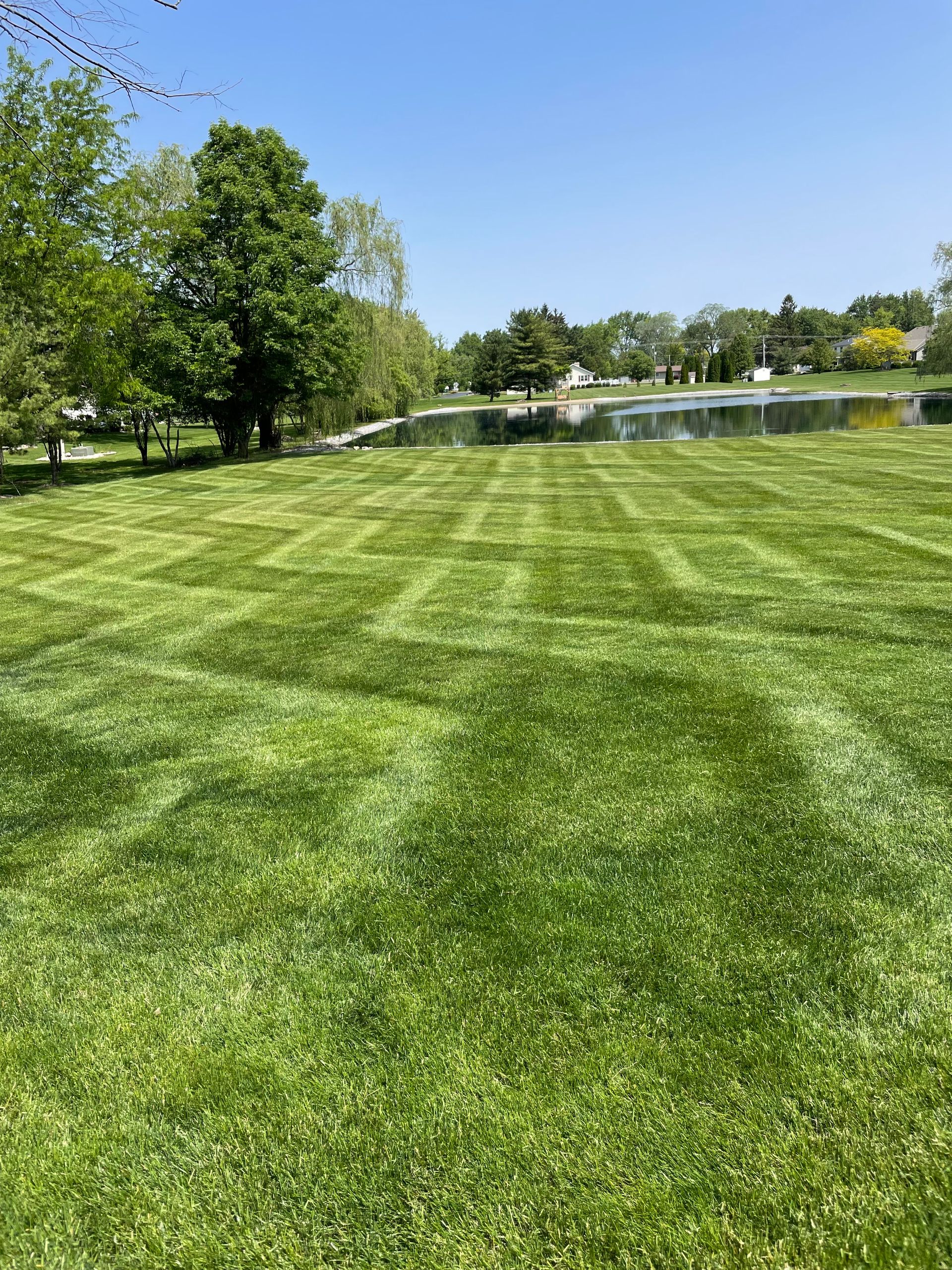 Lawn with patterned mowing in a grid, lake and trees in the background under a blue sky.
