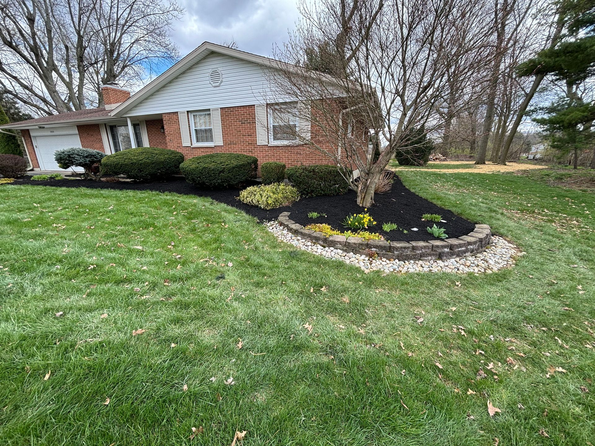 Lawn and garden bed of a brick house with a tree in front, containing mulch and shrubs.