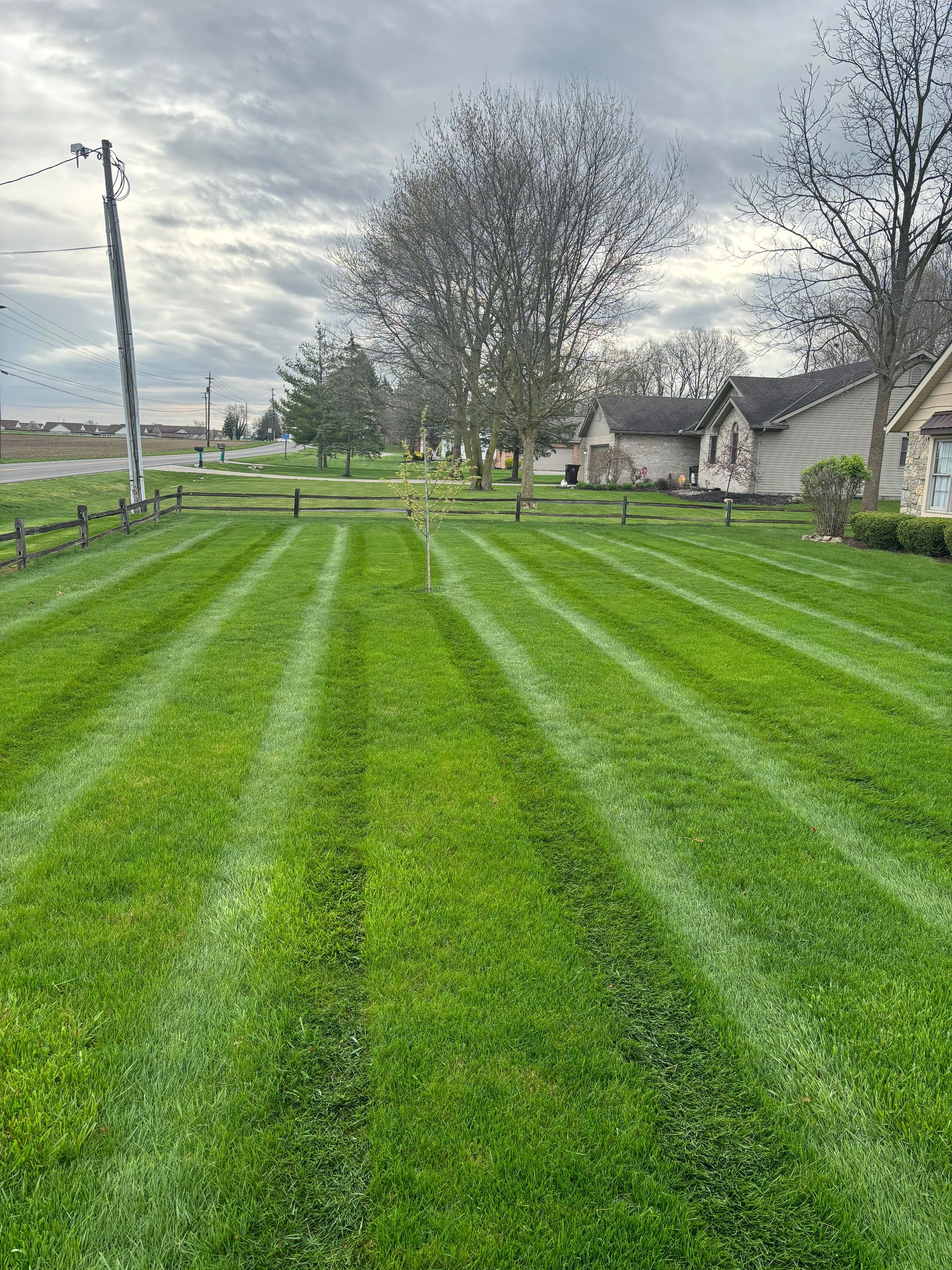 Lawn with freshly mowed stripes in a neighborhood under a cloudy sky.