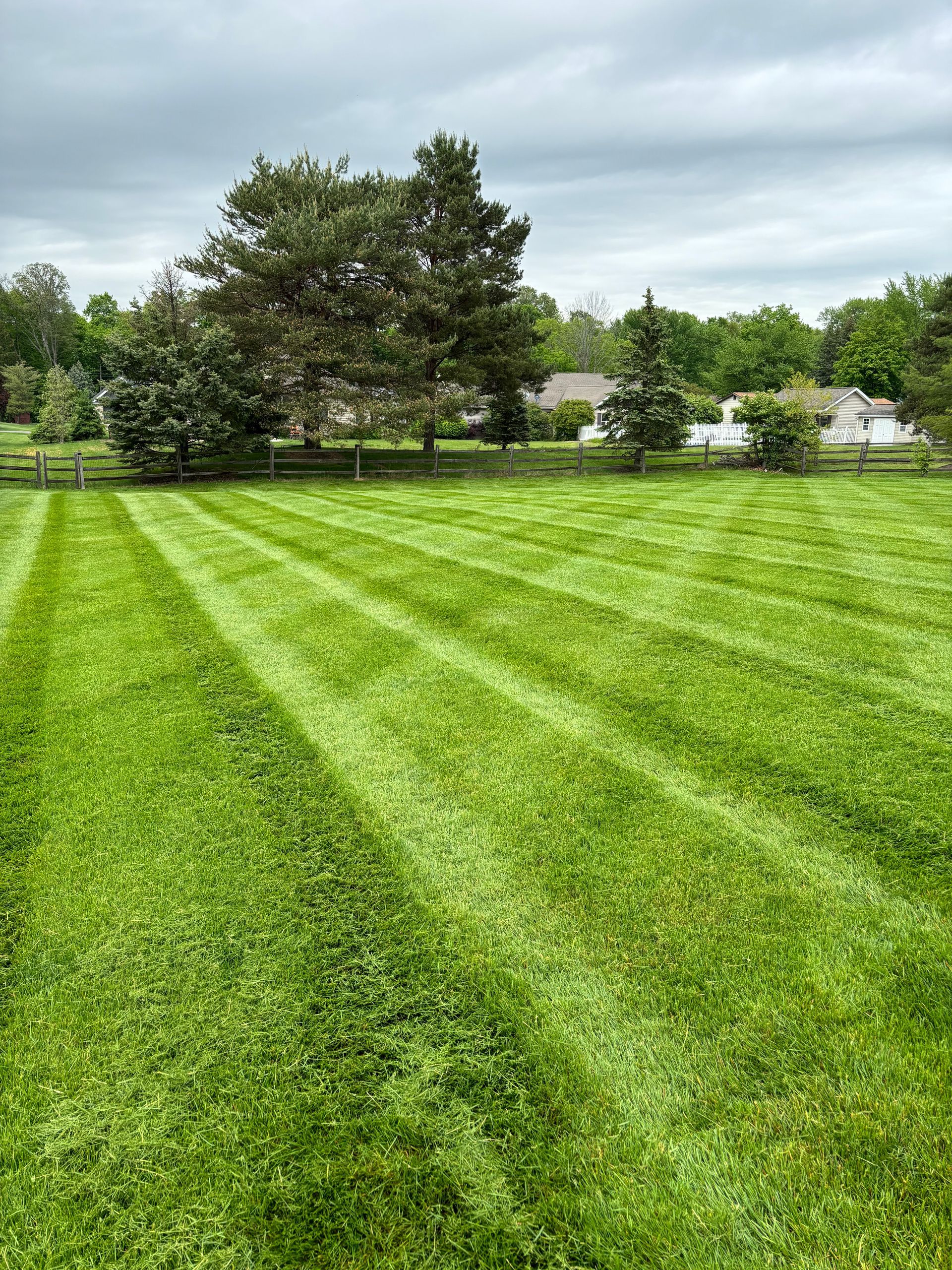 Lawn freshly mowed with striped pattern; a house and trees are in the background under a cloudy sky.