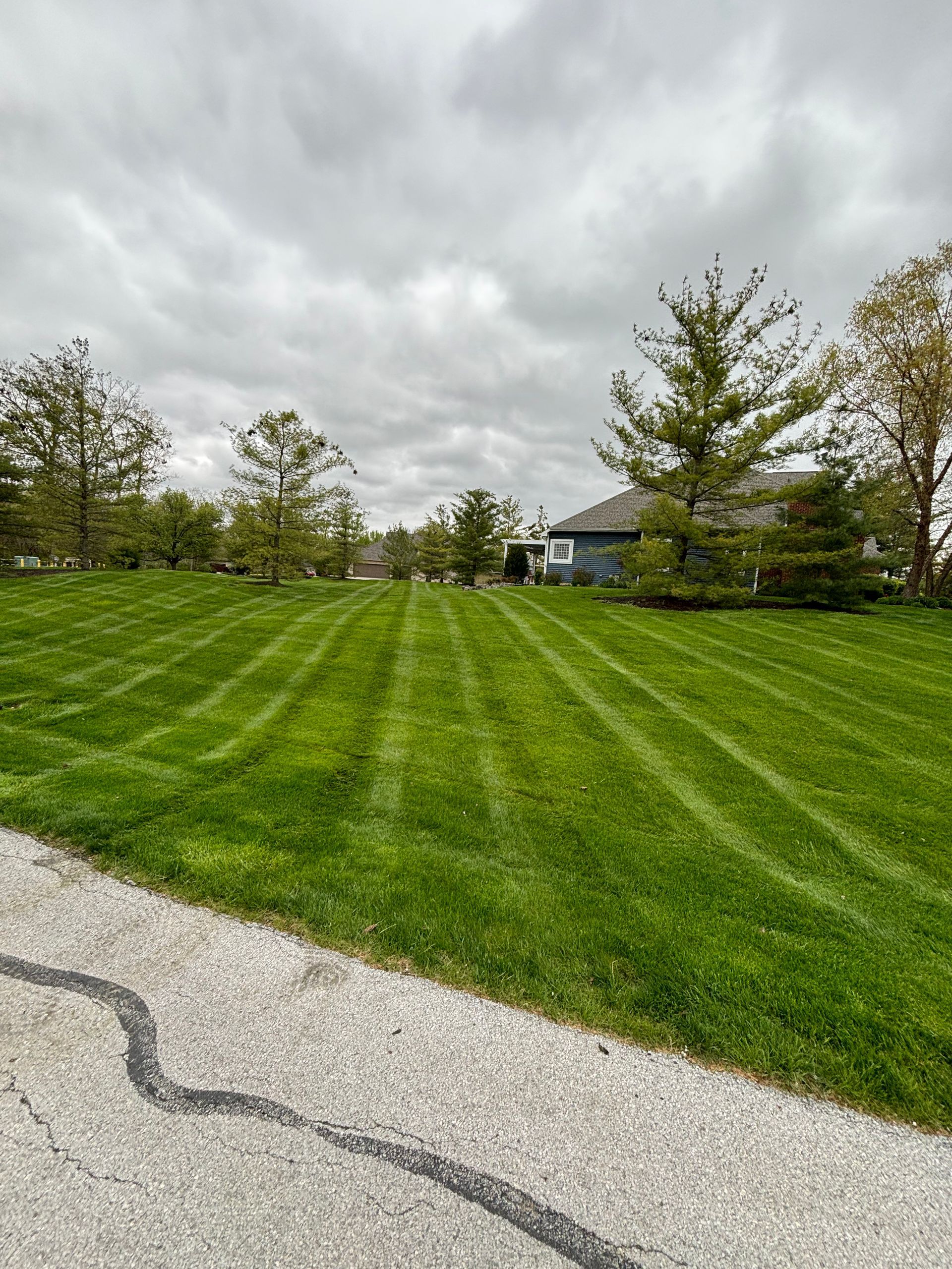Lush green lawn with mowing stripes under a cloudy sky, trees and a house visible in the distance.