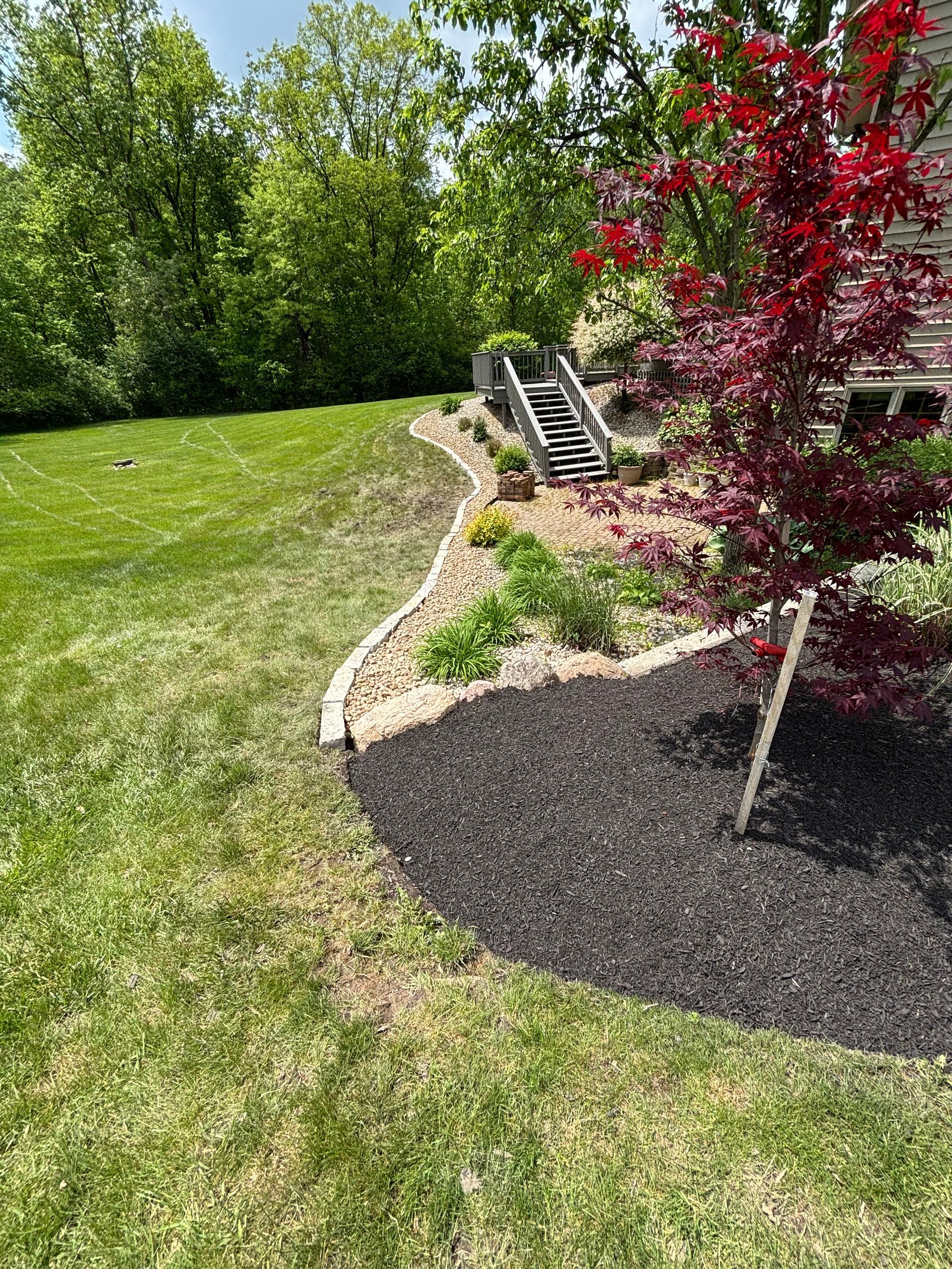 Lawn with mulched garden bed, Japanese maple, and stairs leading to a house. Green grass, dark mulch.