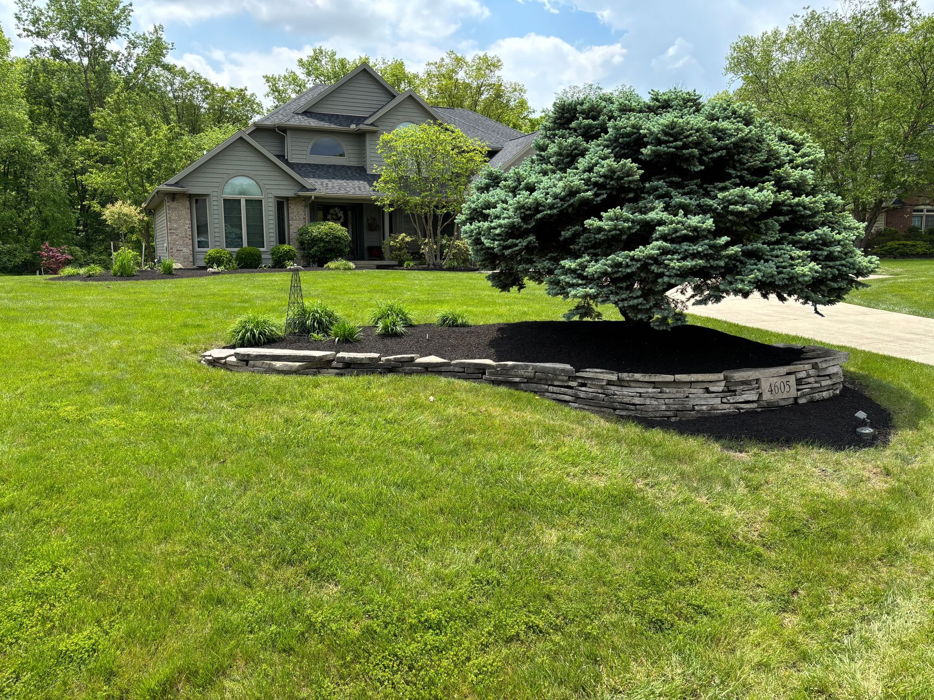 House with a large, blue-green tree in a stone-edged flowerbed, surrounded by green grass.