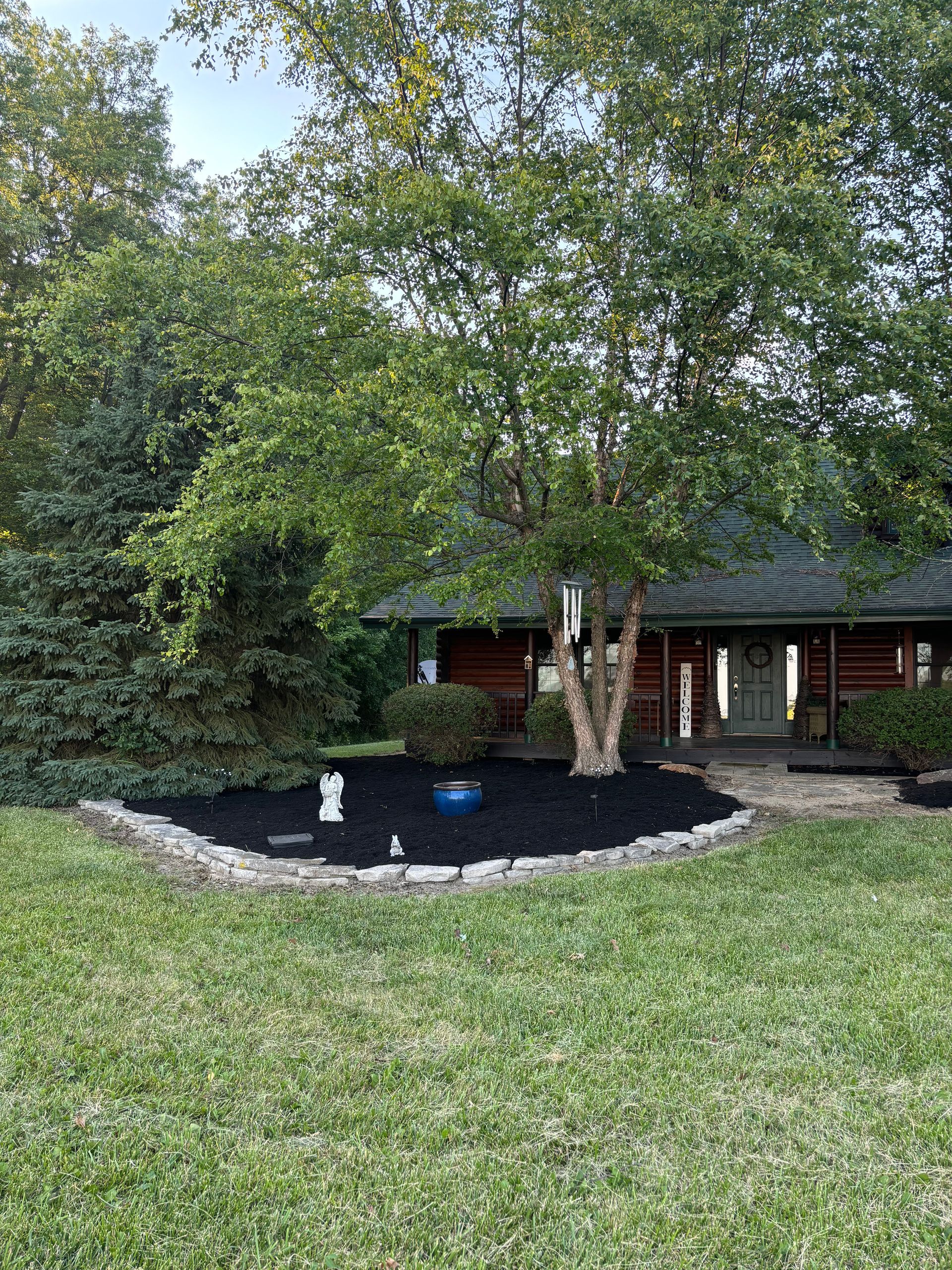 A house with a birch tree in the front yard with dark mulch landscaping.