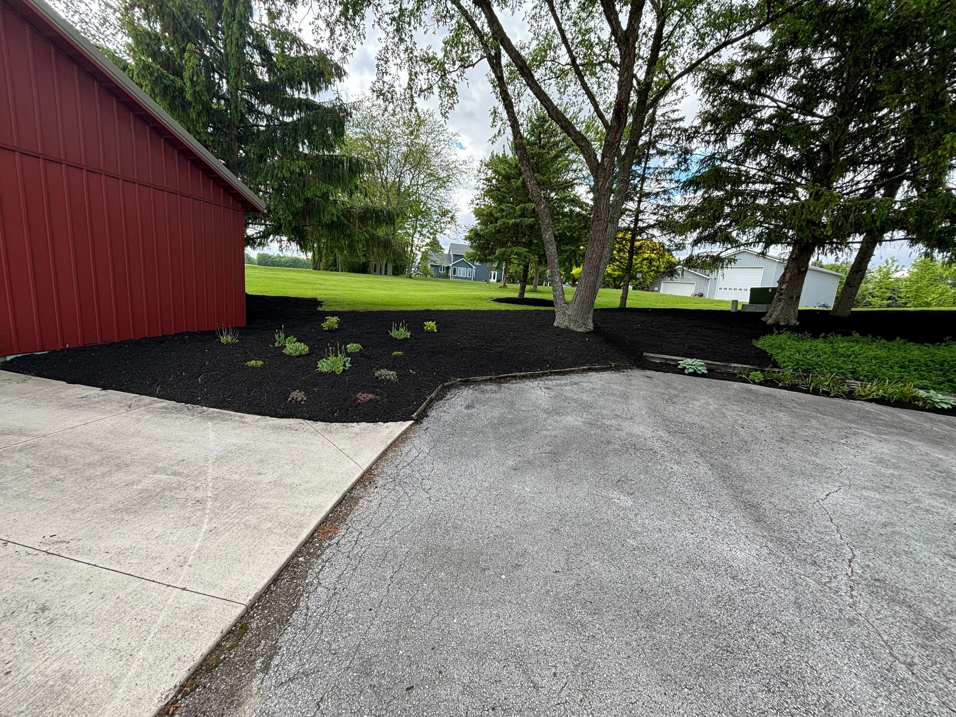 Red barn next to black mulch flowerbed; concrete driveway in foreground.