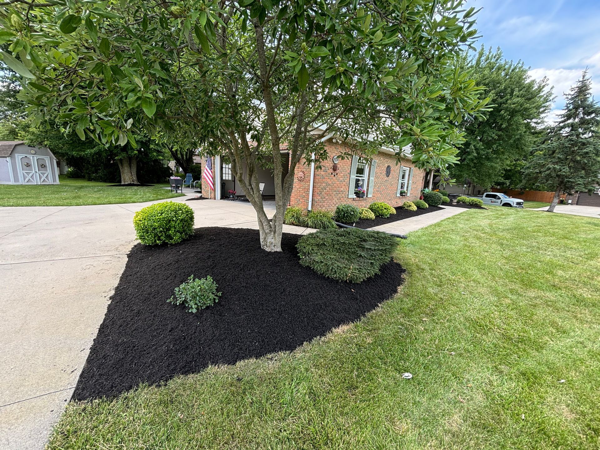 Landscaped yard with black mulch around tree, bushes, and brick house with green grass.