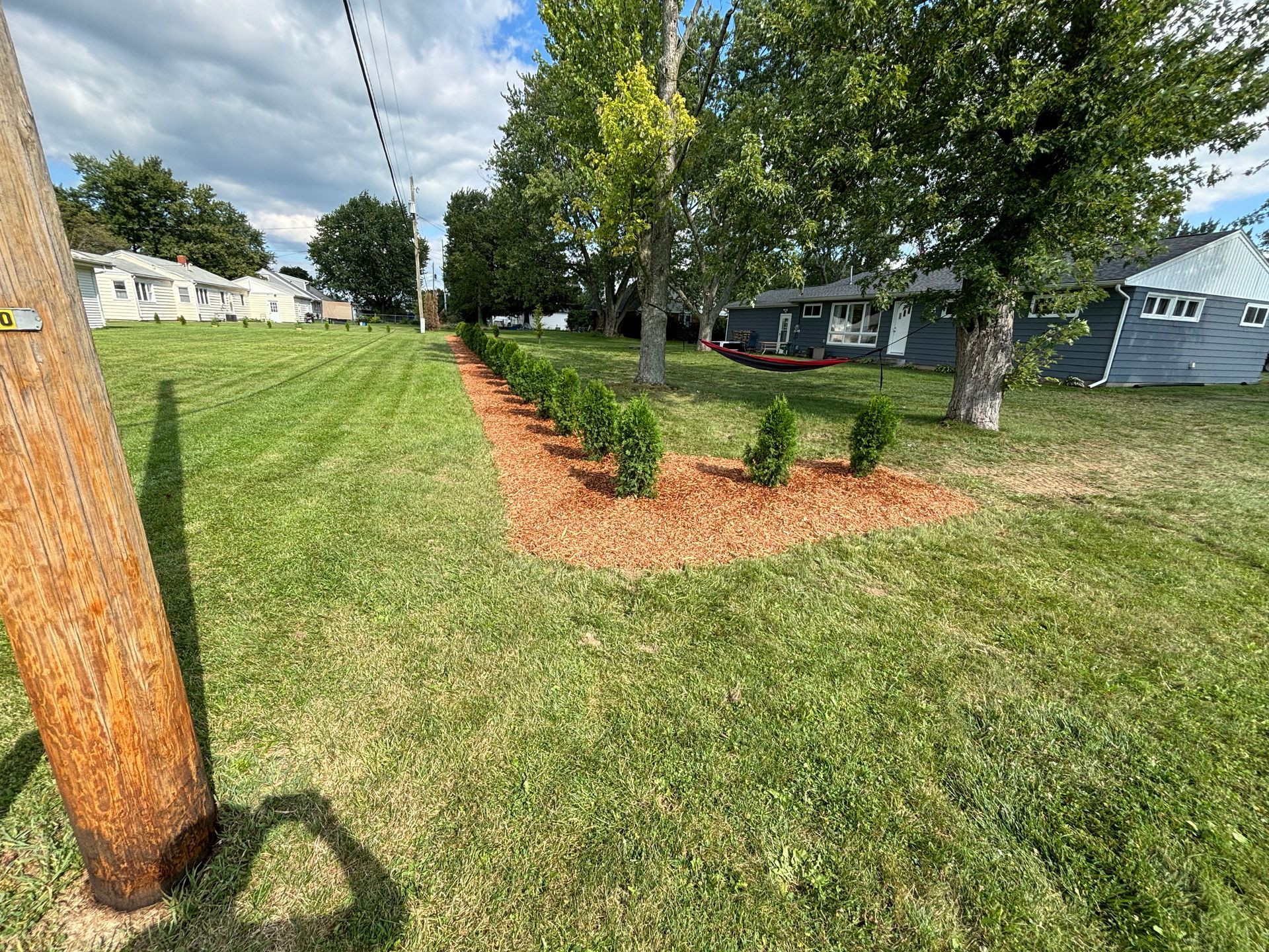Green lawn with small bushes in mulch, power pole in foreground, houses in background.