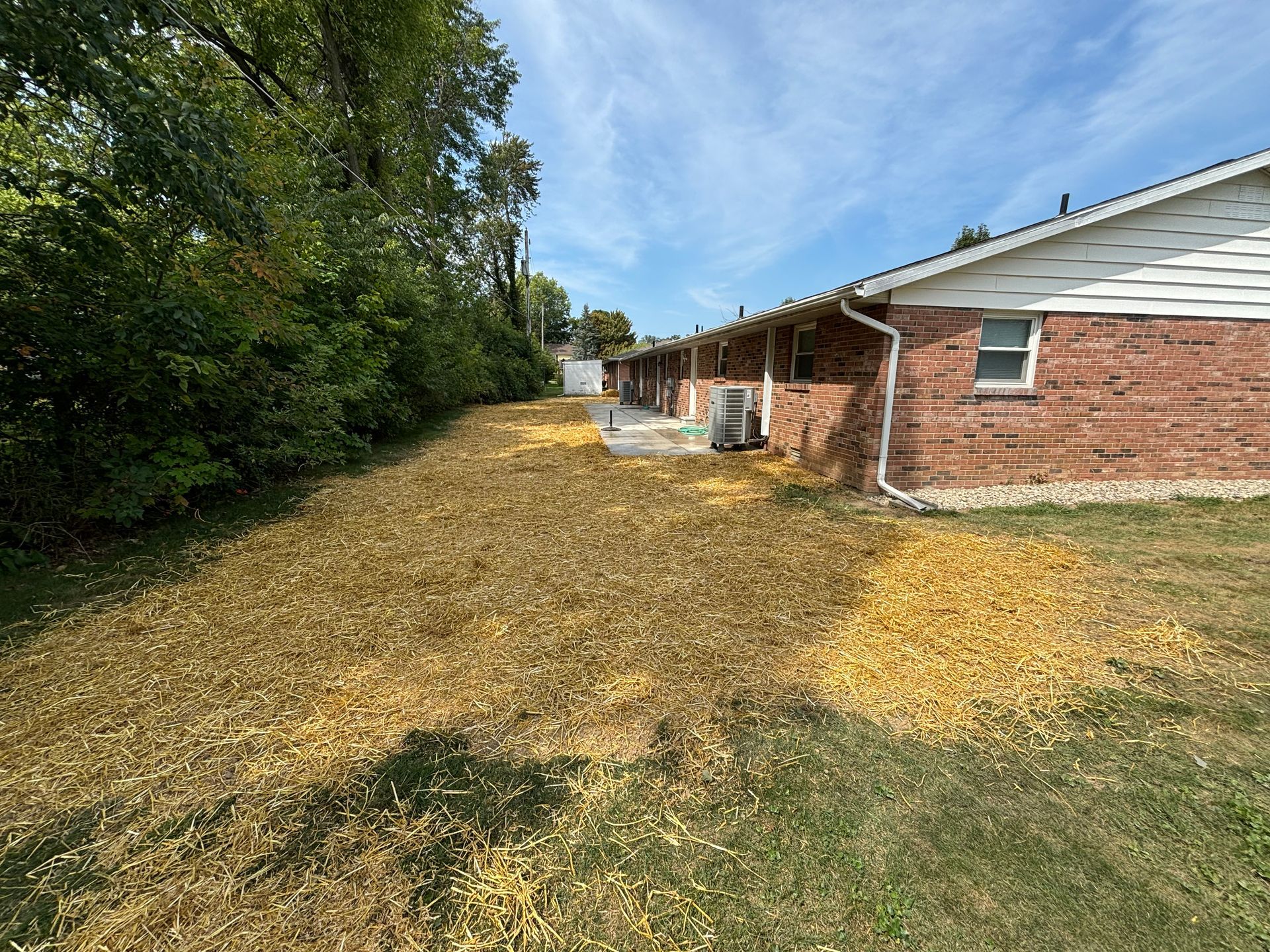 Lawn covered in golden leaves next to a red brick building under a partly cloudy sky.