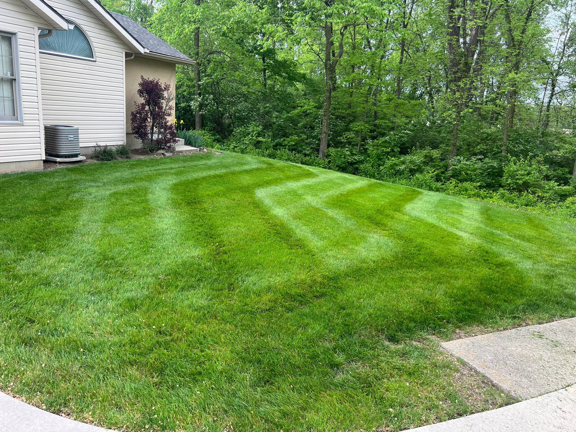 Lawn mowed with alternating stripes, in front of a house and trees. Green grass.