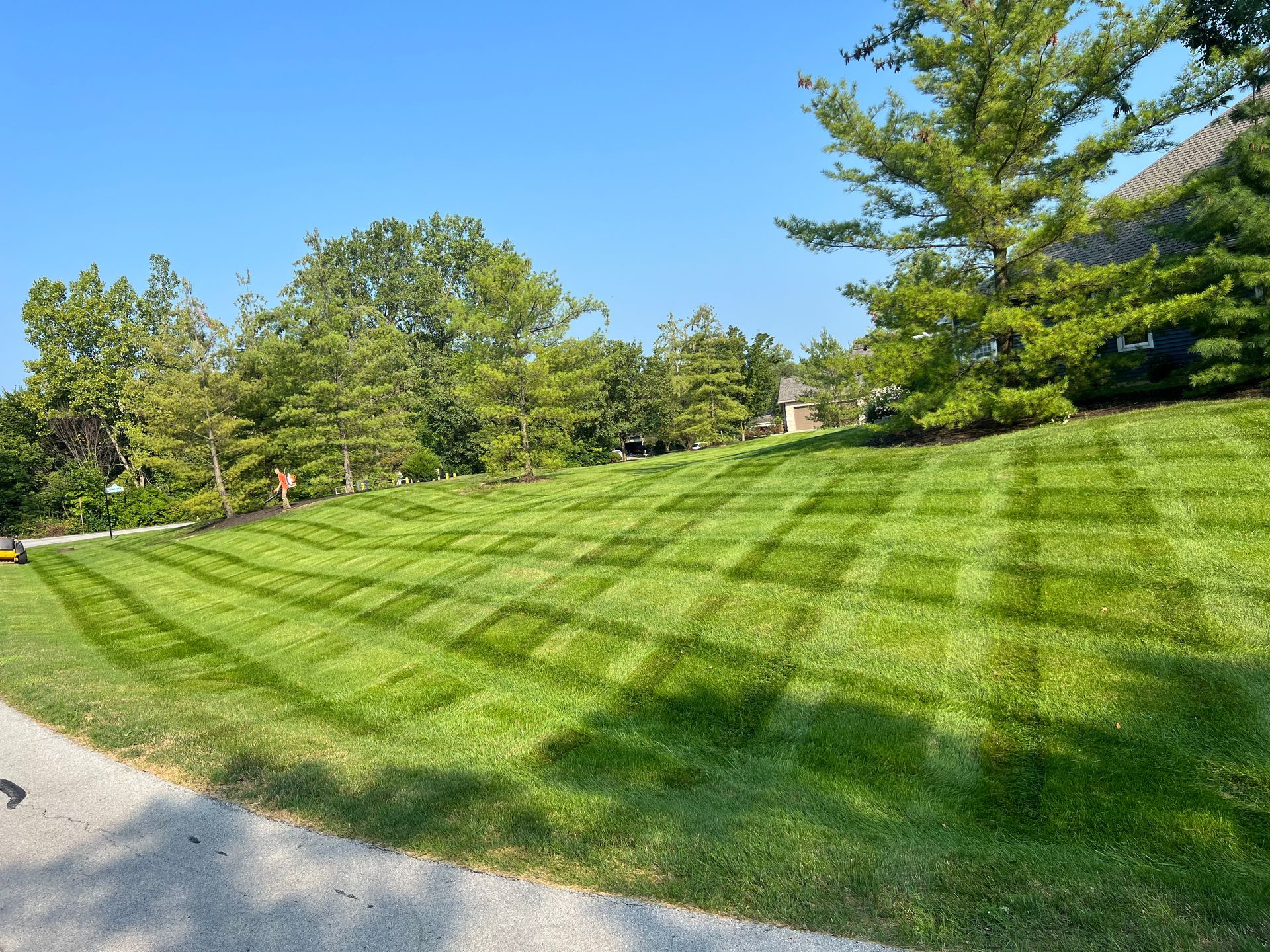 Lush green lawn with grid pattern, sunny day. Trees in the background, and a paved path in the foreground.
