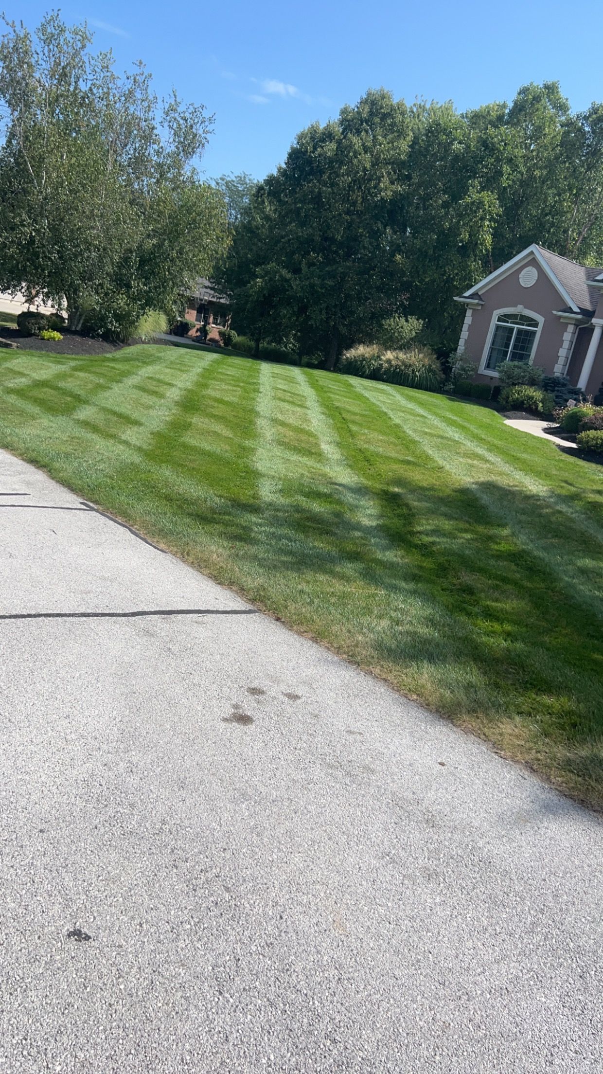 Lawn with alternating dark and light stripes, next to a driveway, trees, and a house on a sunny day.