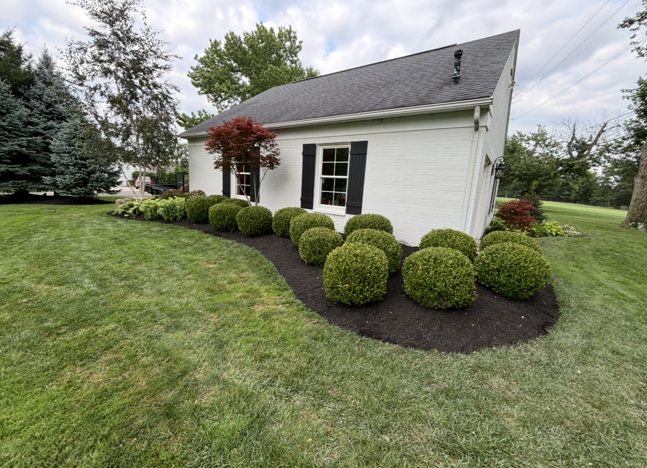 White building with black shutters, featuring a curved bed of green bushes on a grassy lawn.