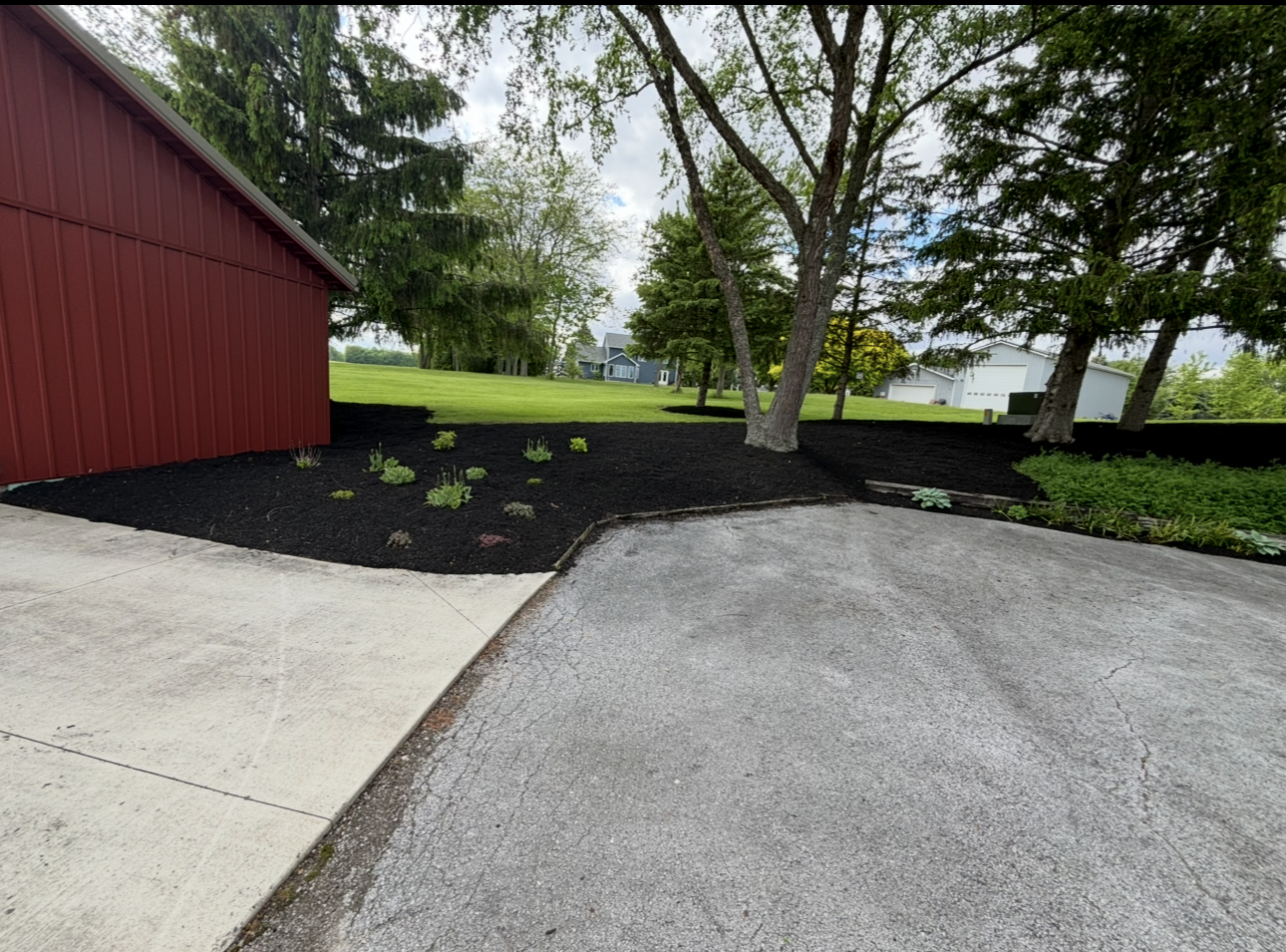Red barn, gravel driveway, and black mulch landscape with trees. Cloudy day.