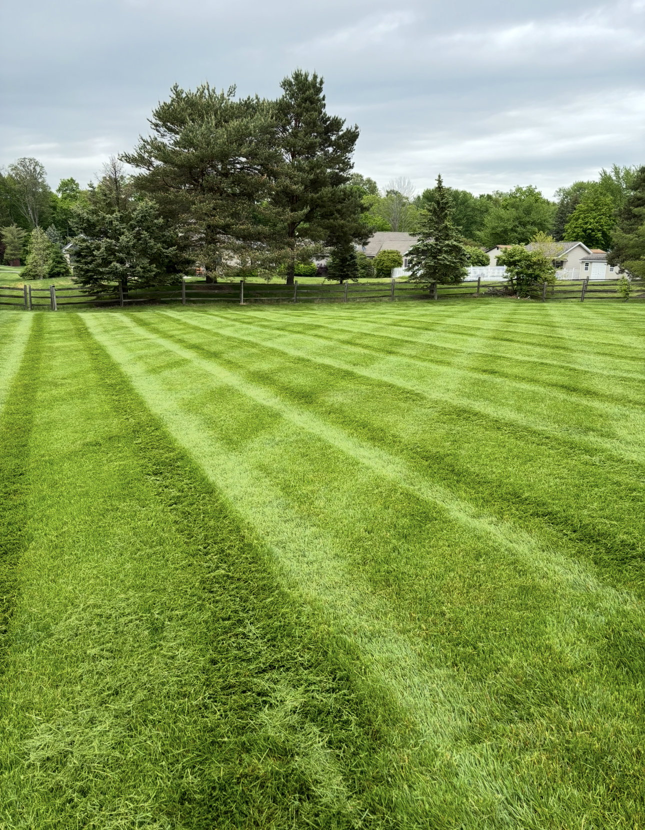 Lawn with stripes, trees, and houses under a cloudy sky.