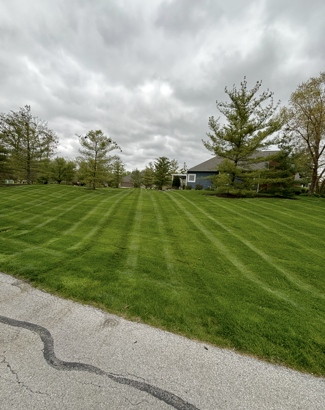 Green lawn with stripes, trees, cloudy sky, and a house in the background.