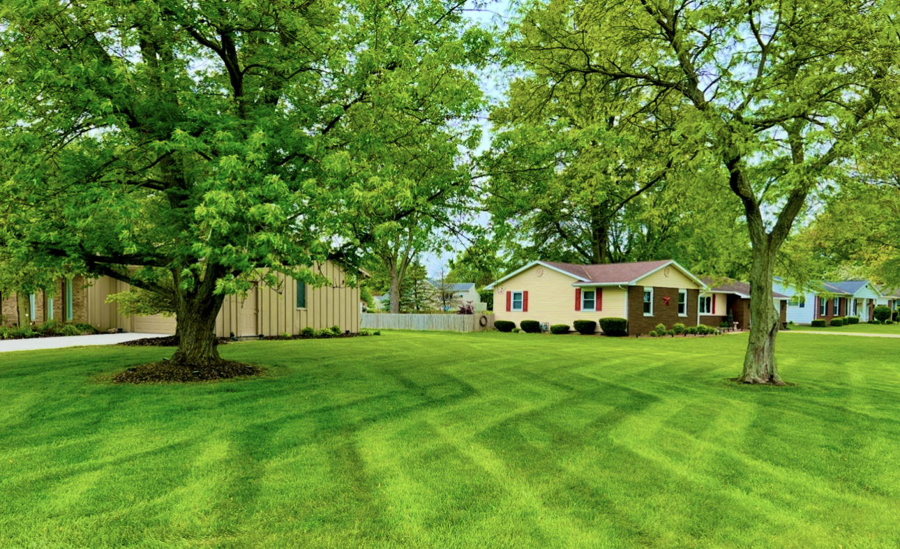 Lawn with green stripes, trees, and houses under an overcast sky.