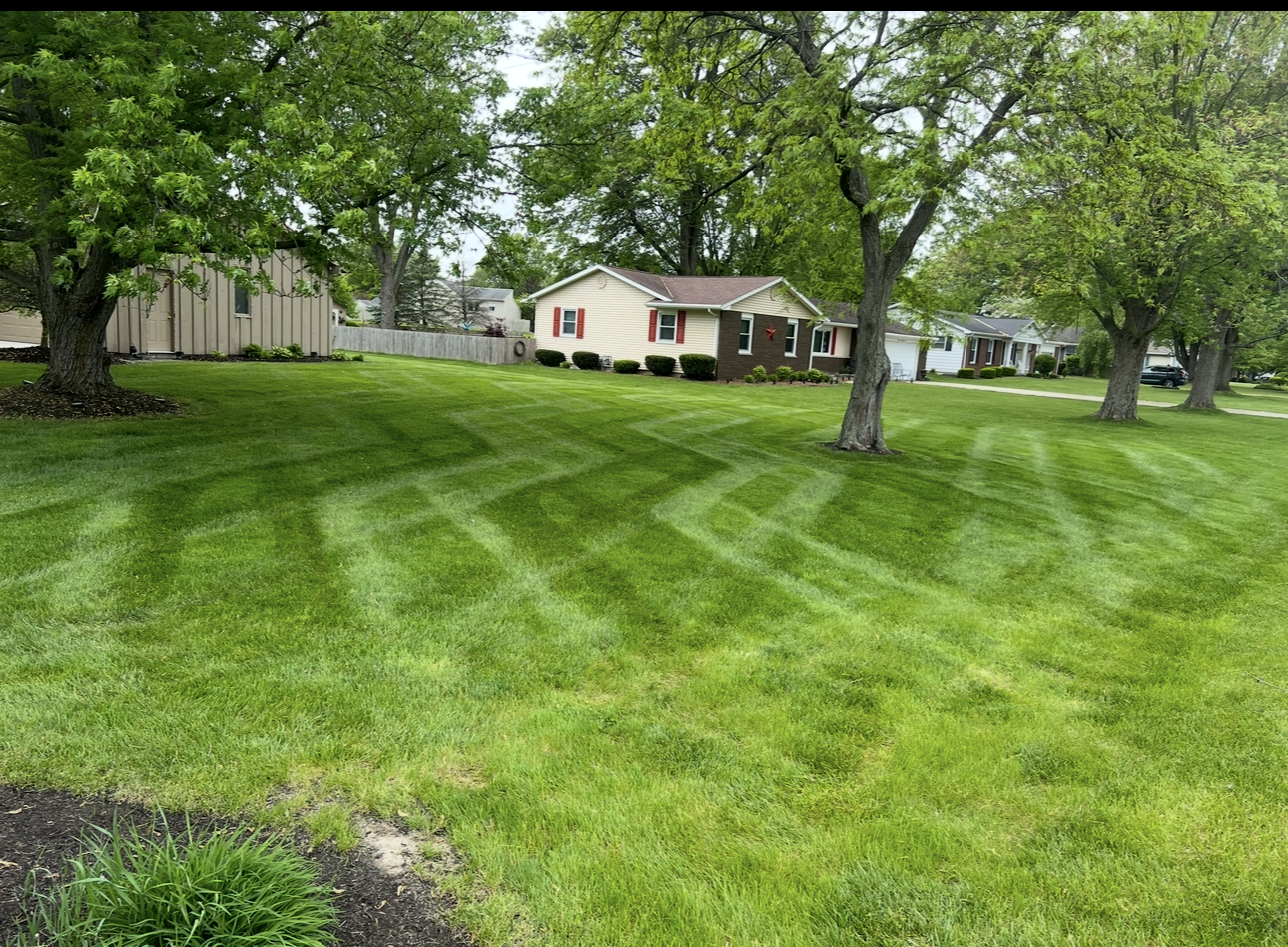 Lawn with zigzag mowing pattern in front of a neighborhood home with trees on a sunny day.