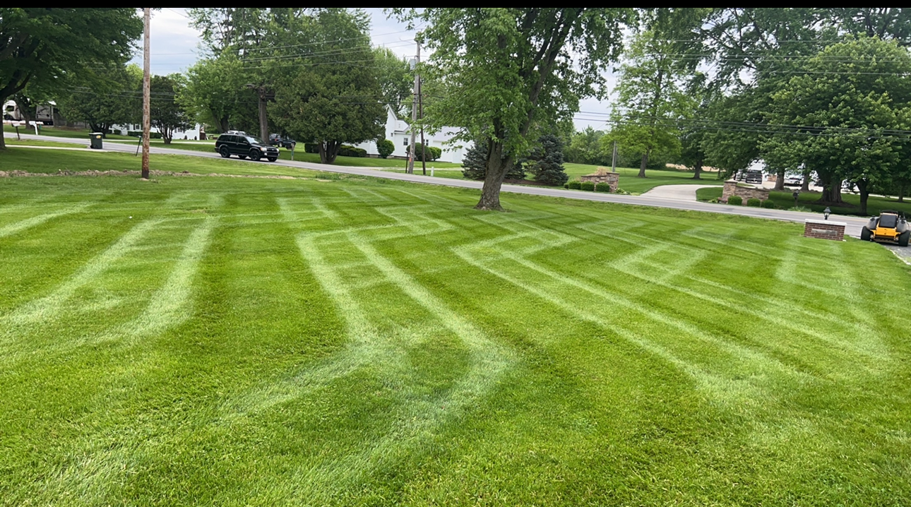 Lawn with the word 