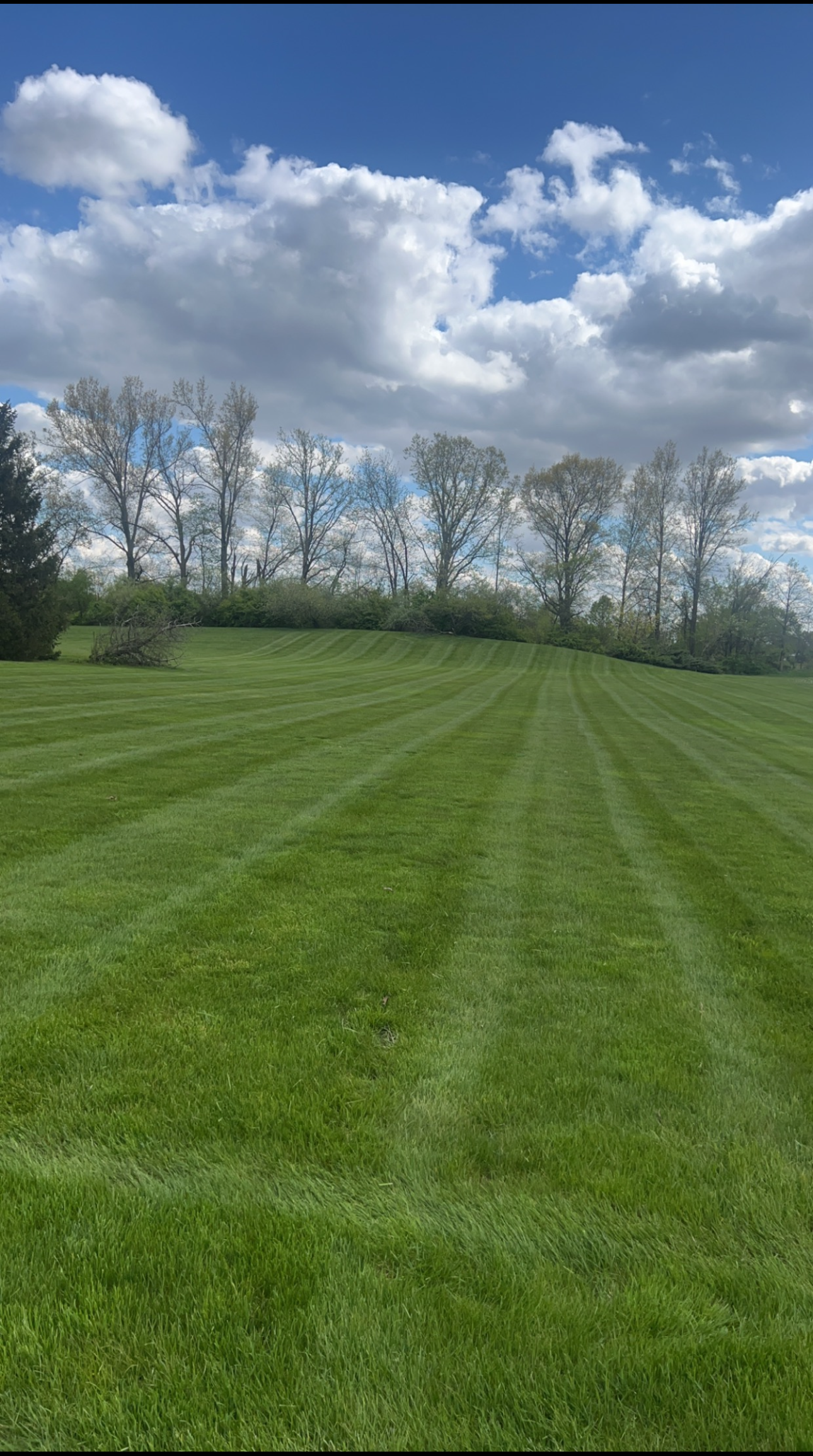 Green lawn with freshly cut stripes, row of trees, and a partly cloudy blue sky.