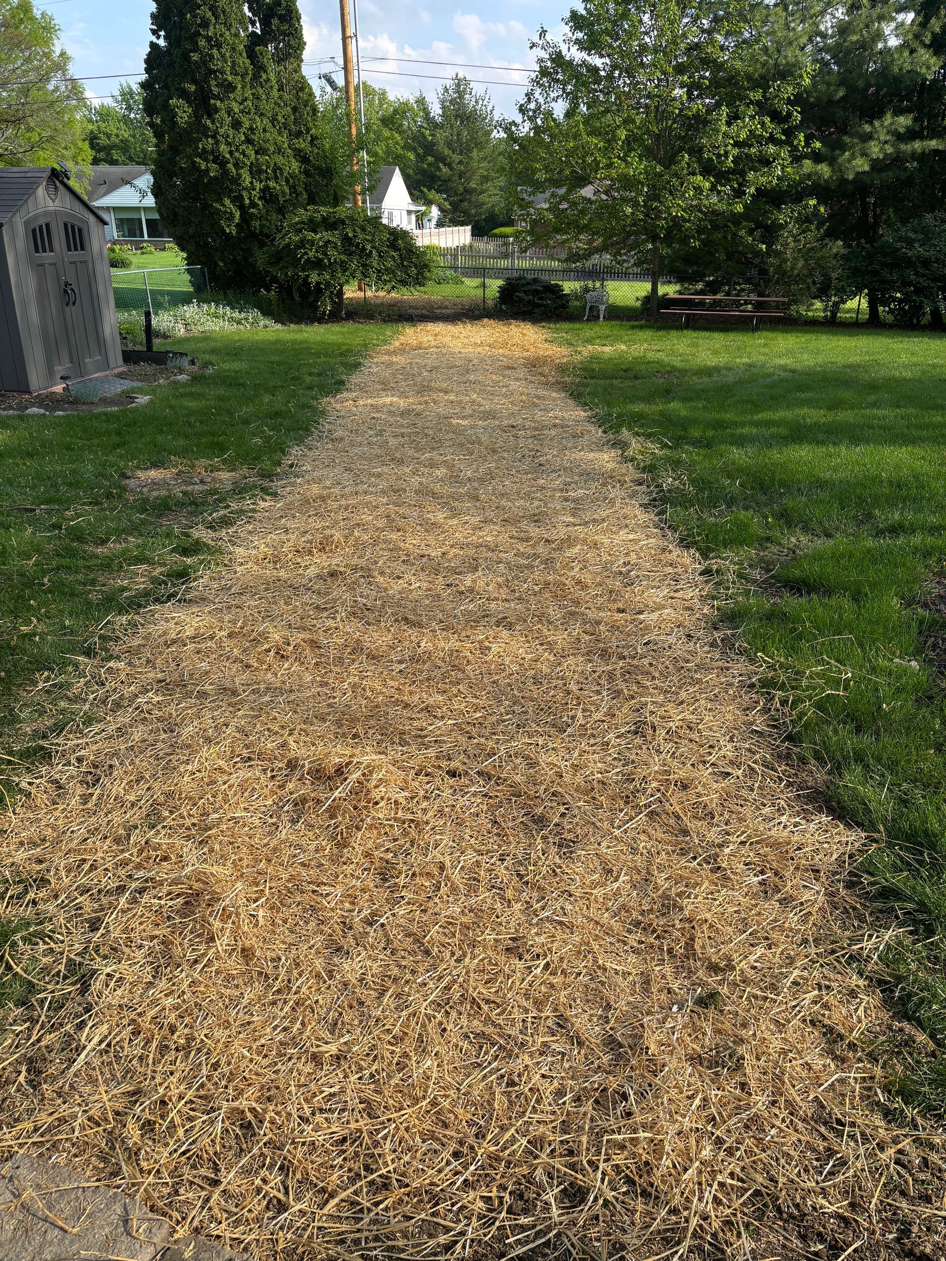 Wood chip path through a grassy yard; trees and houses in background.
