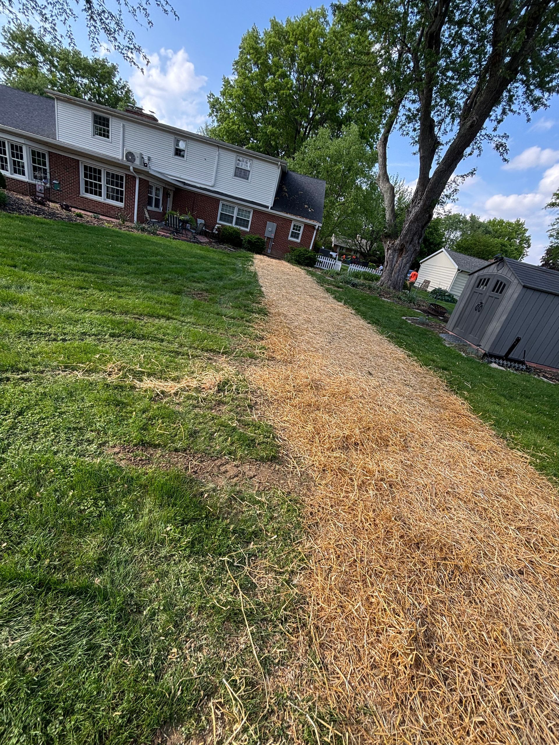 A wood-chip path leads up a grassy hill toward a house with a metal roof, under a tree on a sunny day.