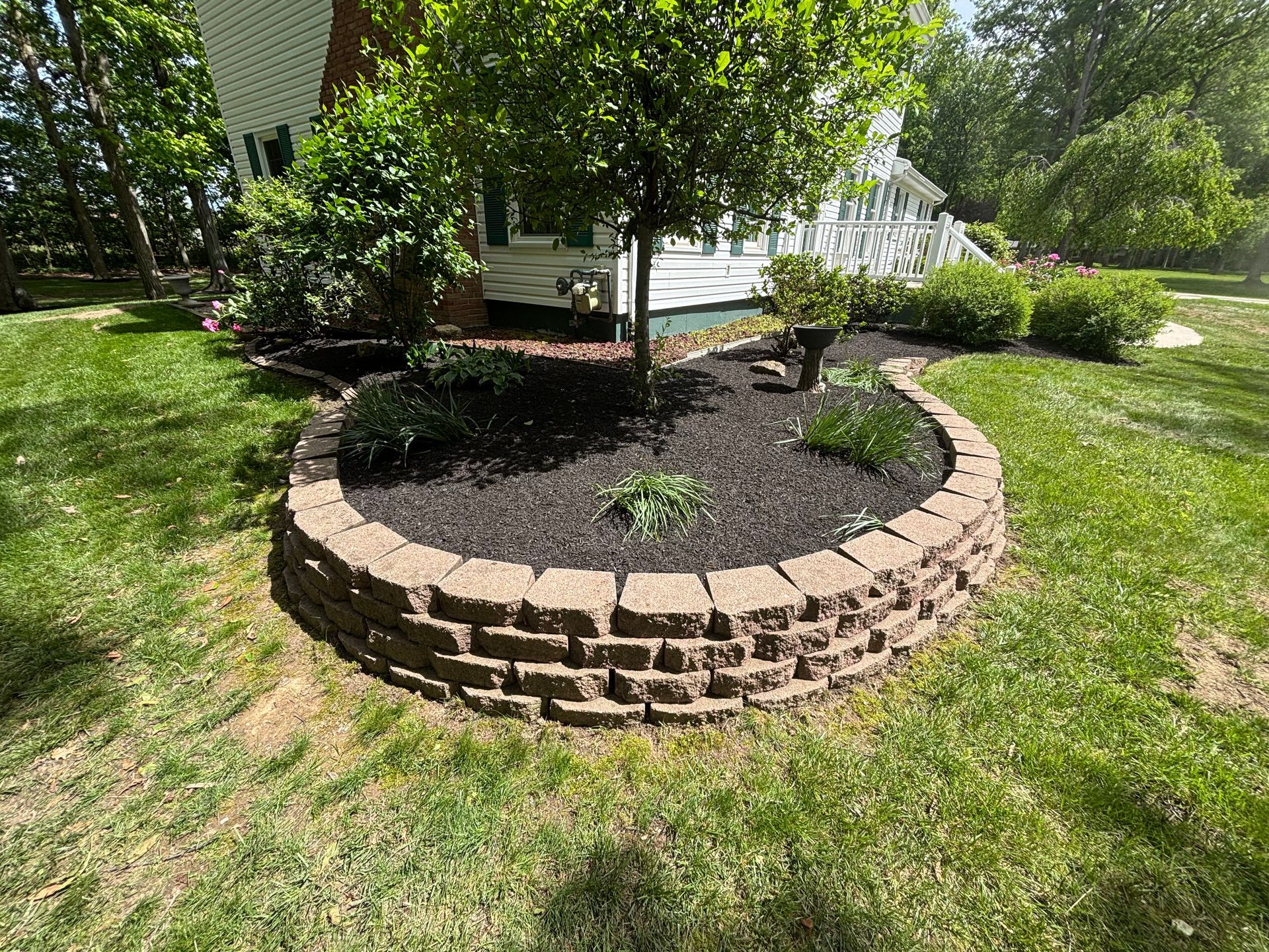 A brick-bordered garden bed encircles a small tree in a green yard.