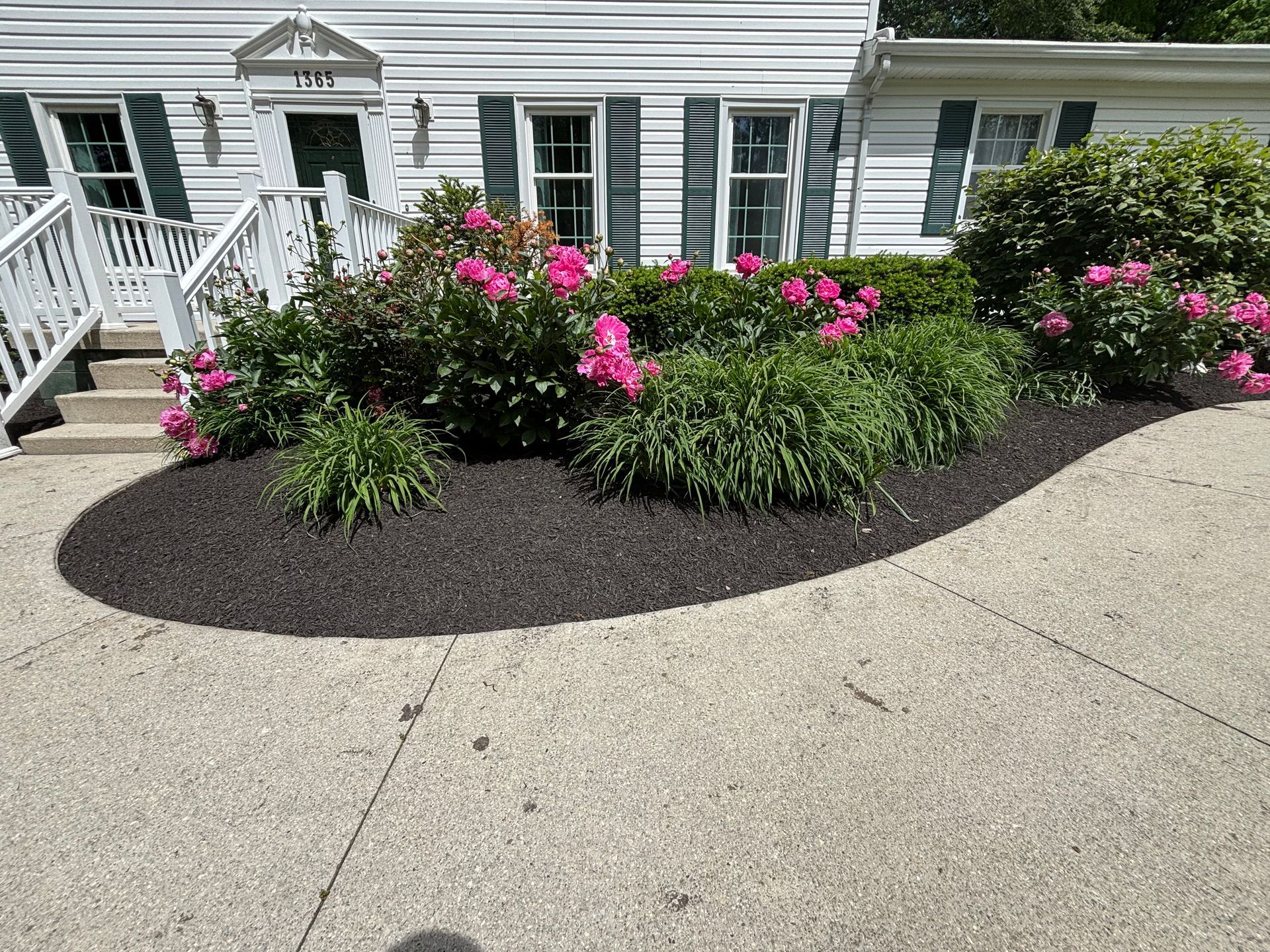 A house with pink flowers in front, bordered by dark mulch and a concrete walkway.