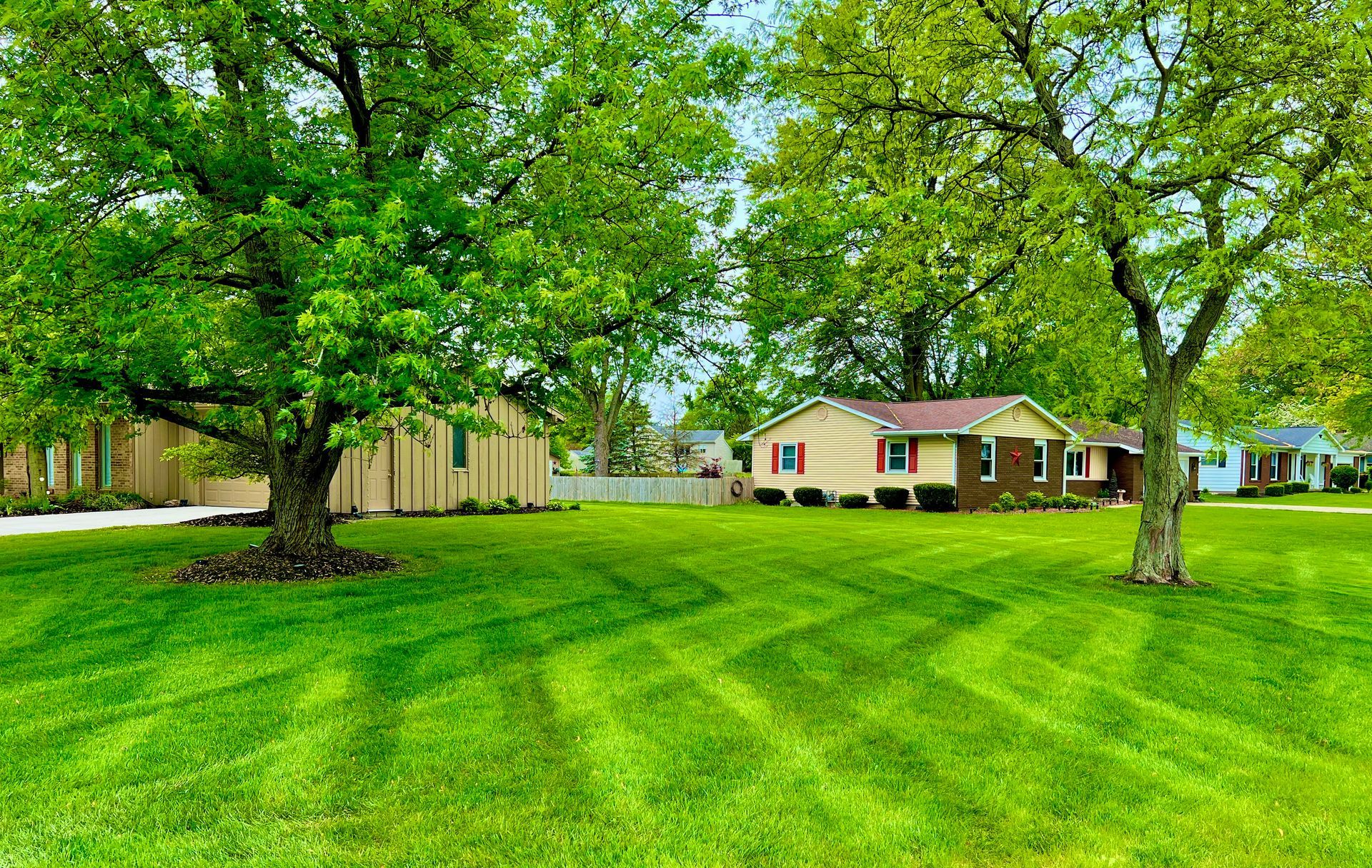 Lush green lawn with striped mowing pattern, houses with trees in the background.